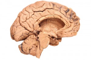 Traumatic Brain Injury