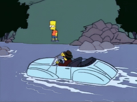 The Simpsons Homer the Vigilante