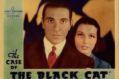The Case of the Black Cat Perry Mason Movie Poster Graphic