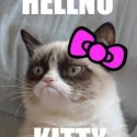 Cheer Up, Grumpy Cat! You Just Won A Big Lawsuit Cheer Up, Grumpy Cat! You Just Won A Big Lawsuit