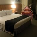 Suing Over Bed Bugs – What You Need to Know Suing Over Bed Bugs – What You Need to Know