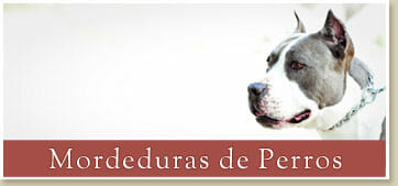 Abogados Expertos en Casos de Mordeduras de Perros
